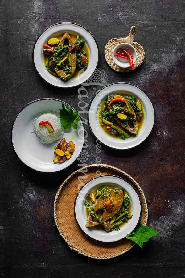 লাউডগা ইলিশ